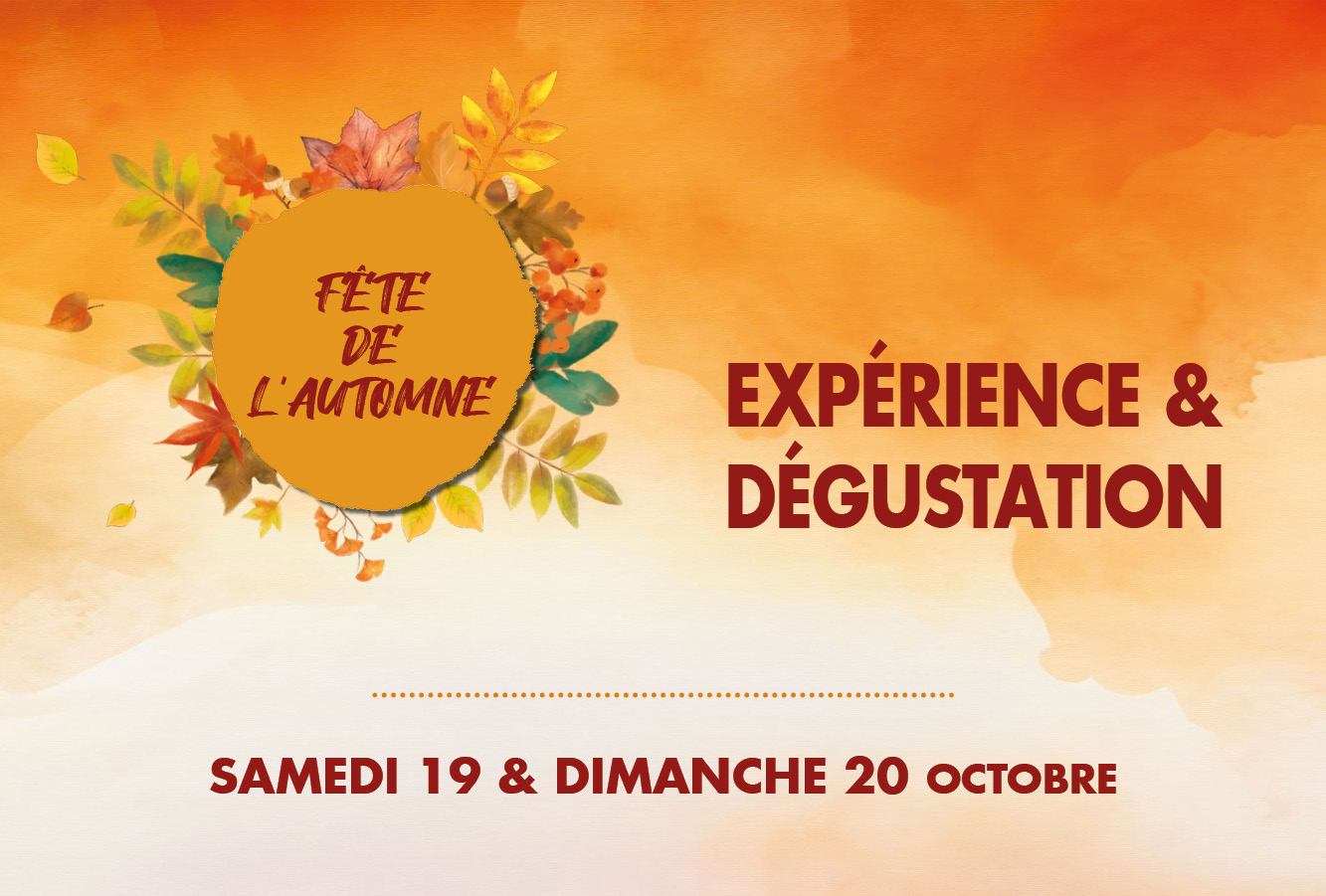 auberge les murets-experience-tasting-south ardeche-cevennes-stay-meal-wine-alliance-visit-exhibition-night-chateau des lebres-ardelous-oenology-concerts-festivities-evening-autumn-festival